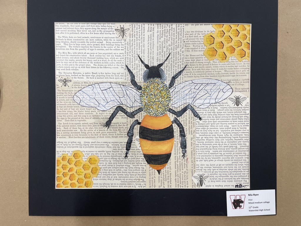 A painting of a honey bee and honey combs done in color on black and white news print, with  four small balck and white bee drawings affixed .  Titled:  Hive.  Mixed Medium Collage by Mia Ryan, 12th grade, WHS